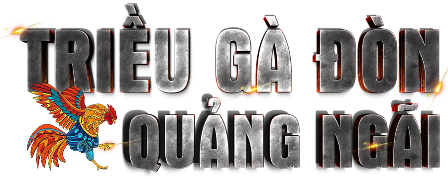  TRIỀU GÀ ĐÒN QUẢNG NGÃI