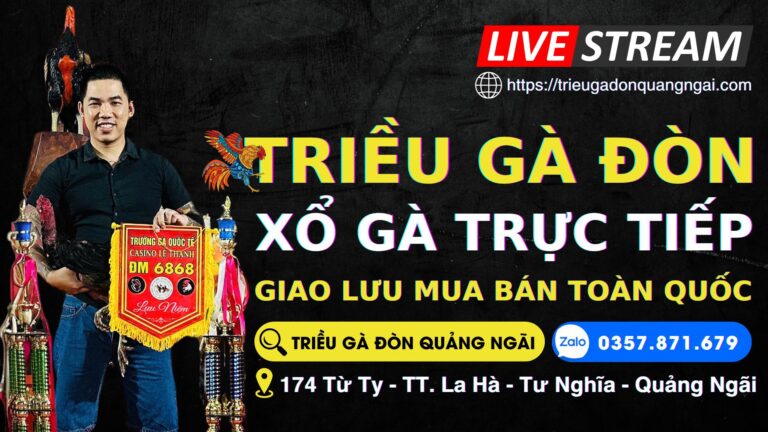 Video xám đại ca ô kim cương full –  TRIỀU GÀ ĐÒN QUẢNG NGÃI