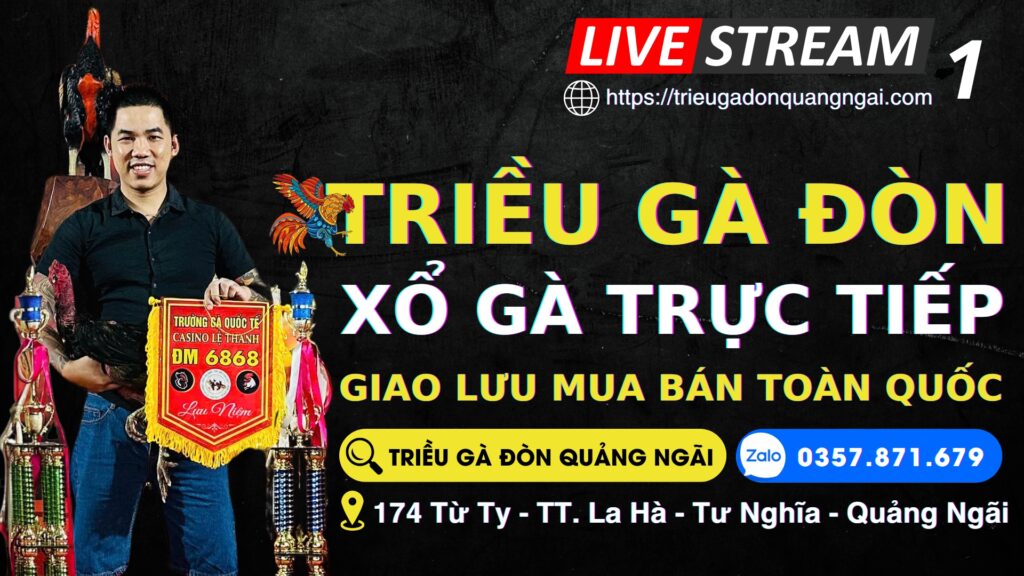 Video 18h04 ngày 14/1 –  TRIỀU GÀ ĐÒN QUẢNG NGÃI – SỚI 1